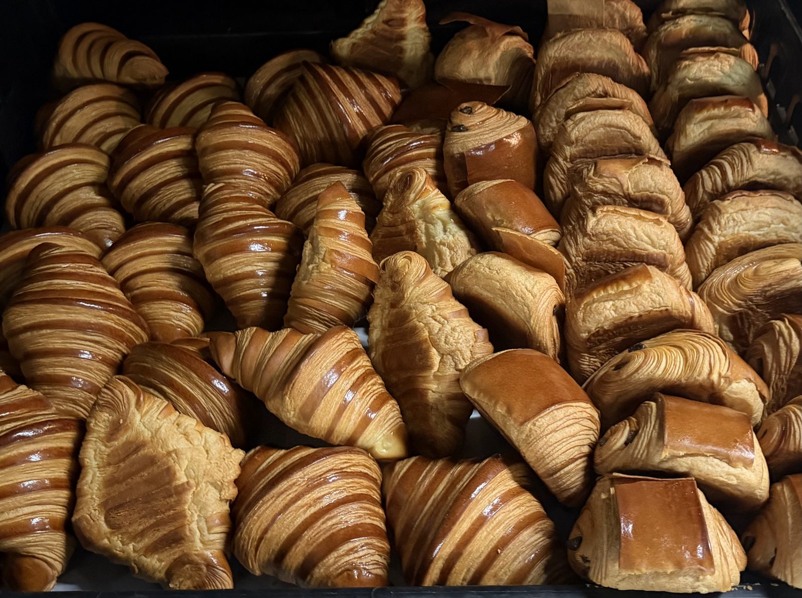 Café Croissants — SPIE Optics + Photonics 2026 — photo 5
